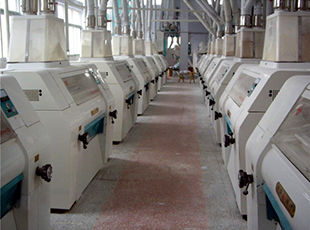 產(chǎn)品名稱：磨粉車間2
產(chǎn)品型號(hào)：
產(chǎn)品規(guī)格：