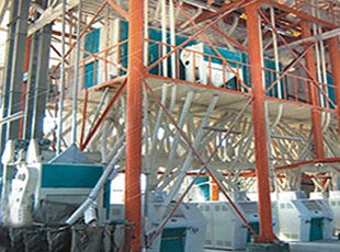 產(chǎn)品名稱：日加工小麥30噸---200噸鋼架式成套設(shè)備
產(chǎn)品型號(hào)：
產(chǎn)品規(guī)格：